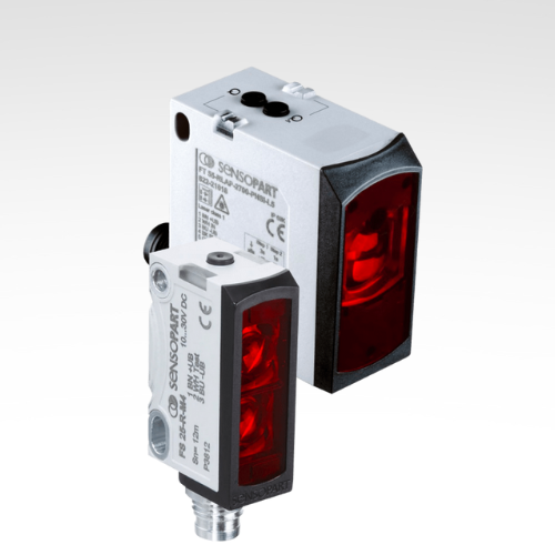 Detection sensor